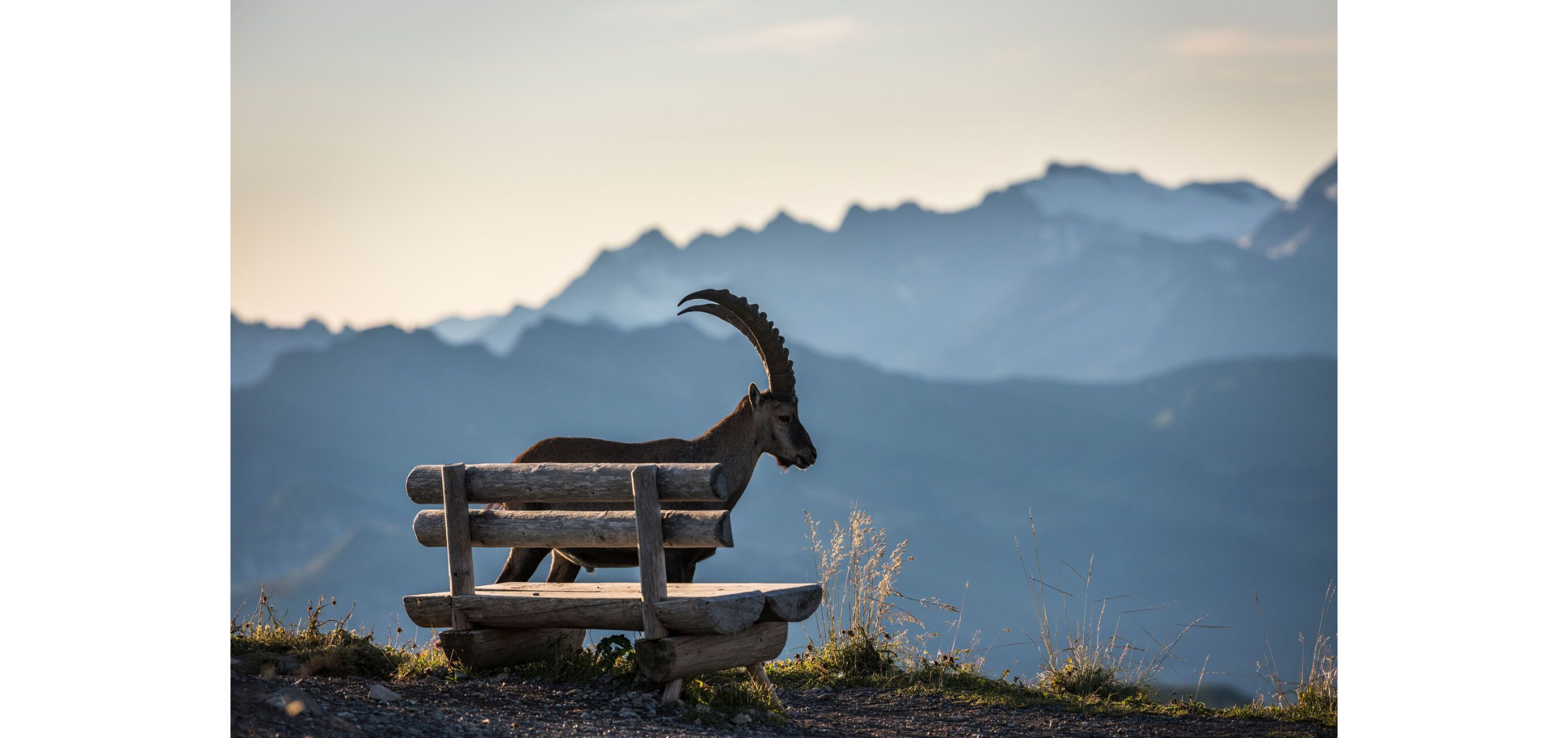 Bern, Region Bern, Emmental, Kemmeriboden, Restaurant, Winter, Gourmet, Fondue, Meringues